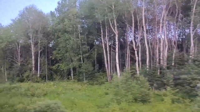 Поезд №376 Я Москва - Воркута ASMR ? 10 смотреть онлайн