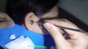 ВОТ ЭТО УШНАЯ СЕРА!!!