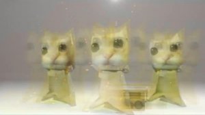 мем коты танцуют