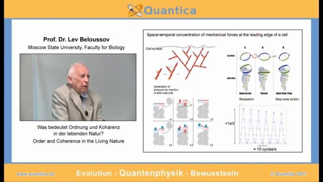 Was bedeutet Ordnung und Kohärenz in der lebenden Natur? смотреть онлайн