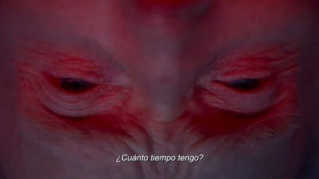 SAW X. EL JUEGO DEL MIEDO. El regreso del asesino redentor. смотреть онлайн