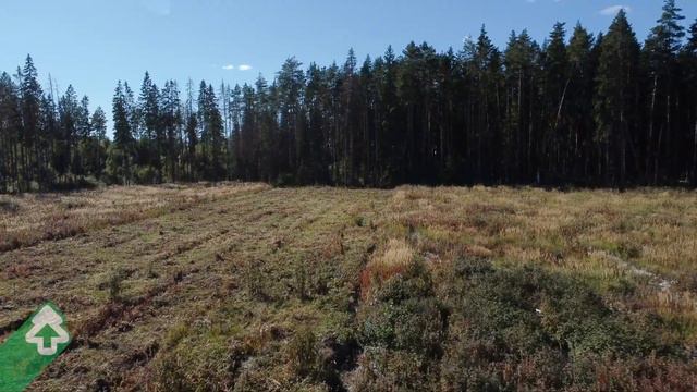 Агроуход в Тверской области 10 сентября 2022 года смотреть онлайн