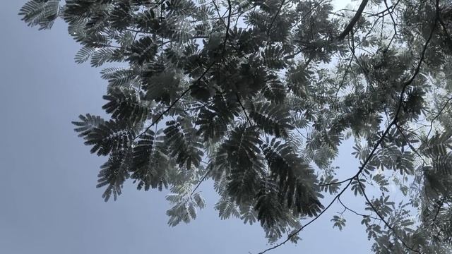 Новость 285 смотреть онлайн