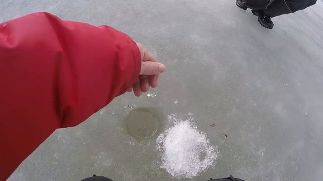 В ПОИСКАХ КРУПНОГО КАРАСЯ! ПОПАЛ В САМЫЙ ЖОР! Щедрый крайний лед! смотреть онлайн