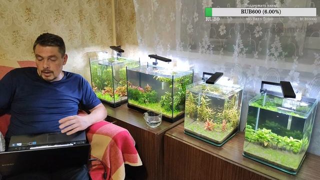 Доступные средства для лечения аквариумных рыб. смотреть онлайн