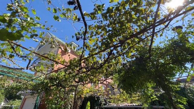 ул. Добролюбова в сентябре 2021! А где все????ЛАЗАРЕВСКОЕ СЕГОДНЯ?СОЧИ.