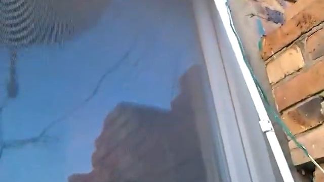 Москитная сеточка на пластиковое окно смотреть онлайн