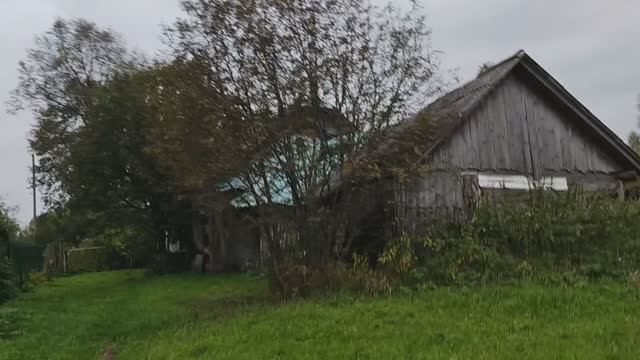 Обзор деревенского сада-огорода. Субботник в деревне. Проект Кожино. Обрезка груши. 10092023.