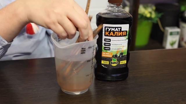 Урок 3. Как черенковать виноград? смотреть онлайн