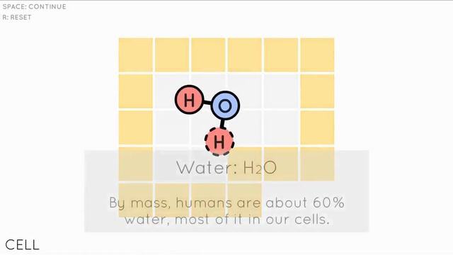 Sokobond Cell Solution смотреть онлайн
