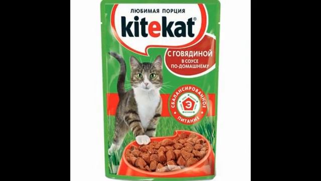 berkley консервы для кошек смотреть онлайн