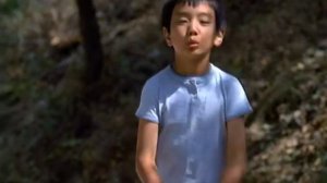 Дорога к дому 2002