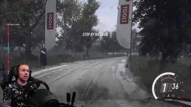 ОХ УЖ ЭТА ПОЛЬША! ПРИГОРЕЛО!!! DIRT RALLY 2.0 смотреть онлайн