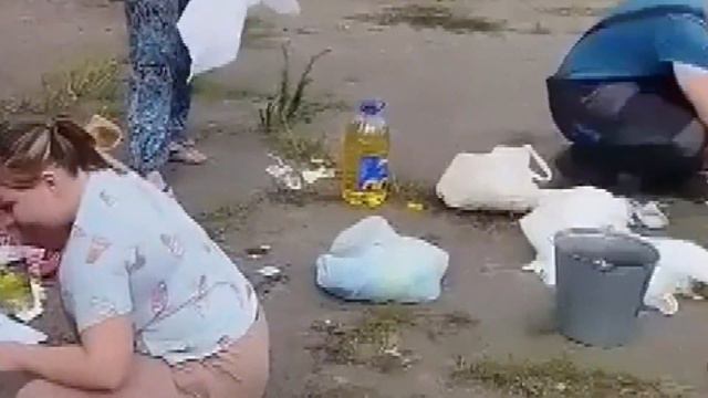 Двое щенков попали в битумную лужу смотреть онлайн