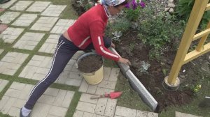 Уложила бордюр "Косичка" вдоль клумбы без цементирования от дерна и для декора