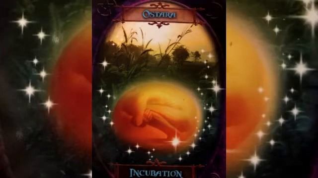 Карта "Вызревание Остара" (яйцо)Witches Wisdom Oracle Cards смотреть онлайн