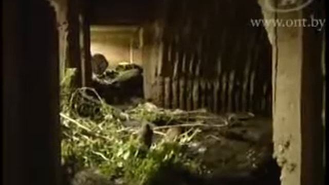 06.07.2010 - в Сморгони взовался старый снаряд.flv смотреть онлайн