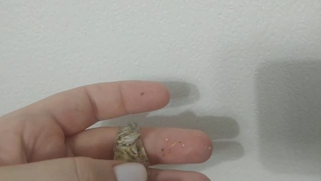 Новорожденное зло смотреть онлайн