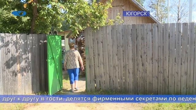 Ваше огородие Отмечаем День дачника смотреть онлайн