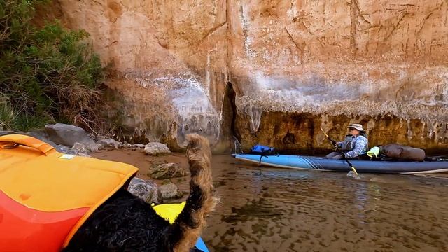 Wanna Go to Horseshoe Bend? Day 2 - Backhaul and Kayak the Colorado 05-02-2022 смотреть онлайн