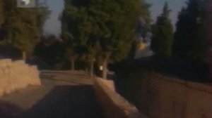 Студия Неофит