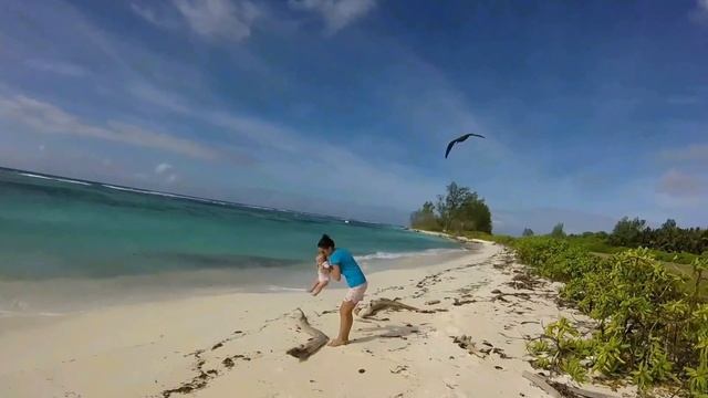 Bird Island Seychelles 2016 смотреть онлайн