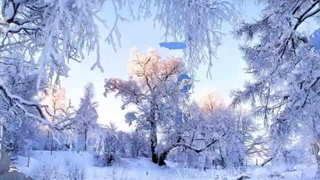 ЗИМНЯЯ СКАЗКА СИБИРИ