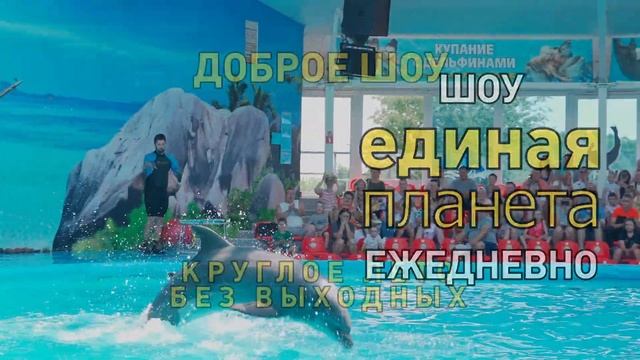 Минский Дельфинарий Шоу "Единая планета" смотреть онлайн