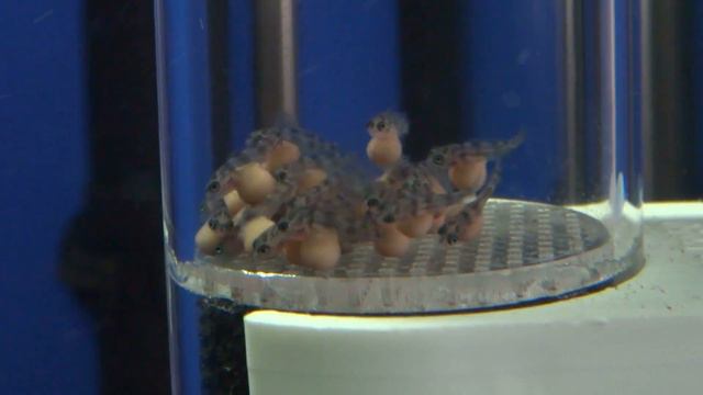 15-й День (15 Day) смотреть онлайн