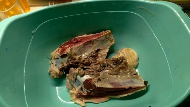 Рецепт приготовления вкусного вяленного гуся смотреть онлайн