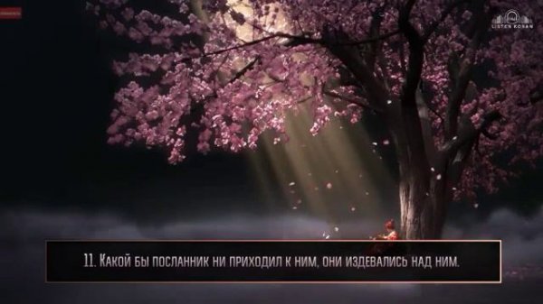 hamza boudib - good quran reading | хамза будиб красивое чтение Корана