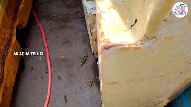 FRIDGE BOX FISH TANK// EASY TO MODIFY OLD FRIDGE BOX'S TELUGU смотреть онлайн