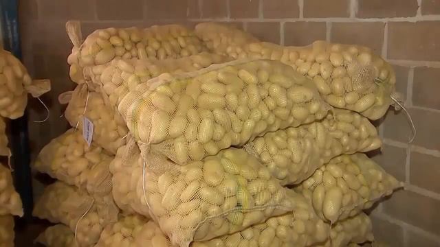 Cadeia Agroindustrial da Batata - Grupo 17 смотреть онлайн