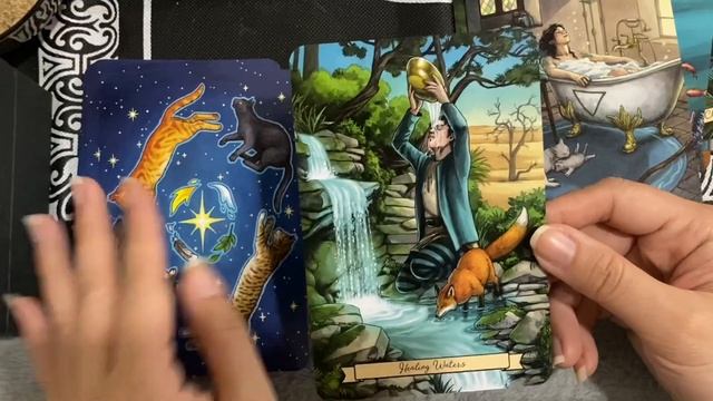 UNBOXING EVERYDAY WITCH ORACLE BY DEBORAH BLAKE (no speech) смотреть онлайн