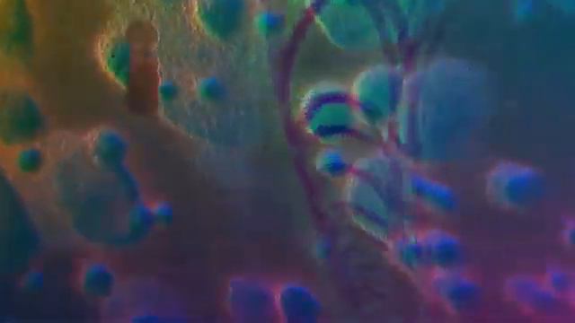 8_bit_frappè.wav [yamaha vss-200 + uno synth + zoom r8 sampled rythm ace] смотреть онлайн