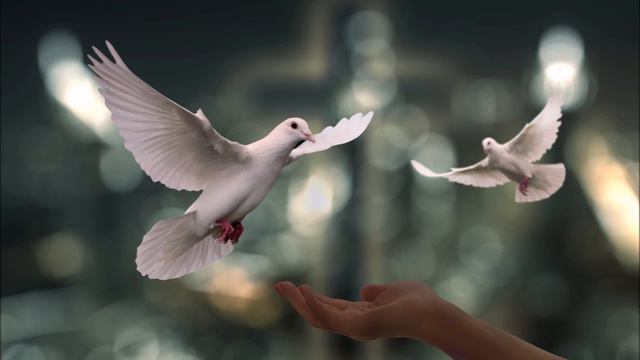 "The Daily Stoic" offers a meticulously curated collection of Stoic teachings. Video 1 смотреть онлайн