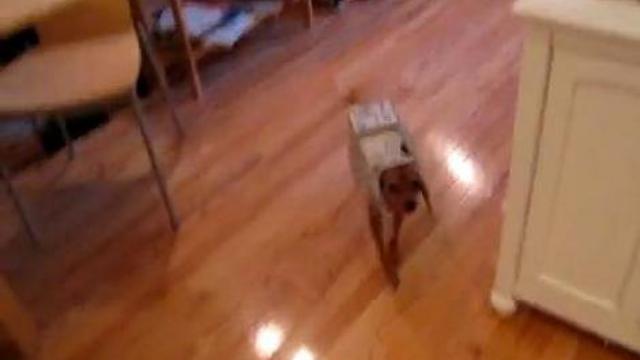 Хозяин не в себе смотреть онлайн