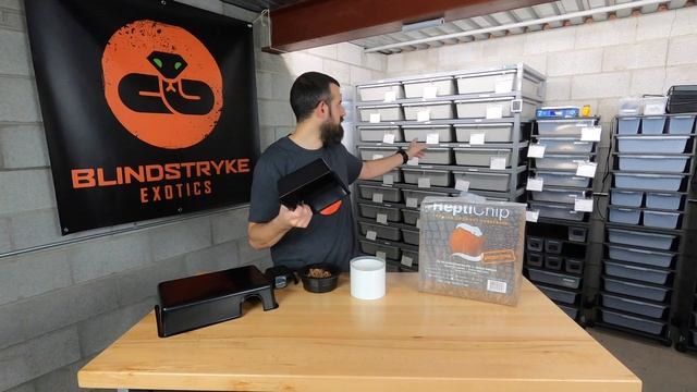 MUST HAVE BALL PYTHON CARE ESSENTIALS! - Tools, tips, and tricks from a breeder смотреть онлайн