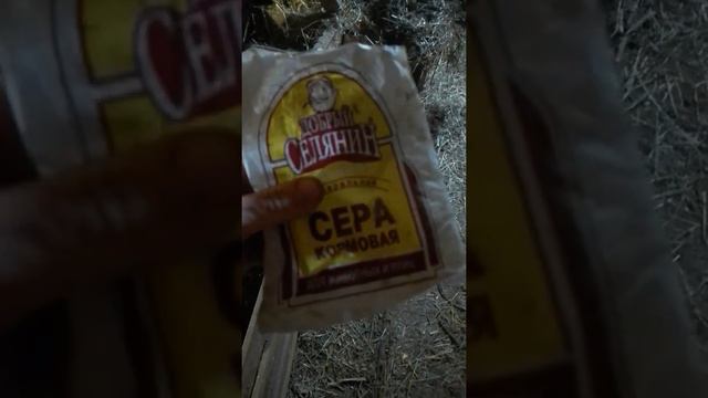 грыжа у бычка чем лечили смотреть онлайн