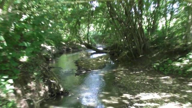 Test video Fujifilm FinePix S2500HD смотреть онлайн