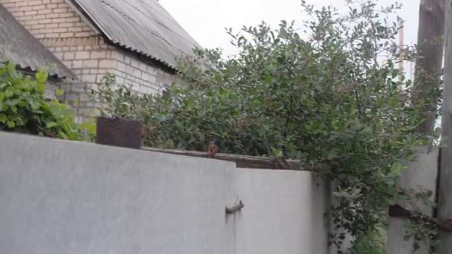 Домашний шеф-повар с Светланой