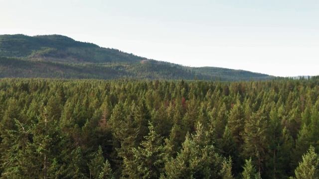 Топ 10 лучших мелодий для расслабление и медитации. смотреть онлайн