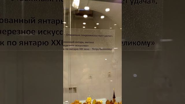 Янтарный город Калининград на янтарной сказочной щуке! смотреть онлайн
