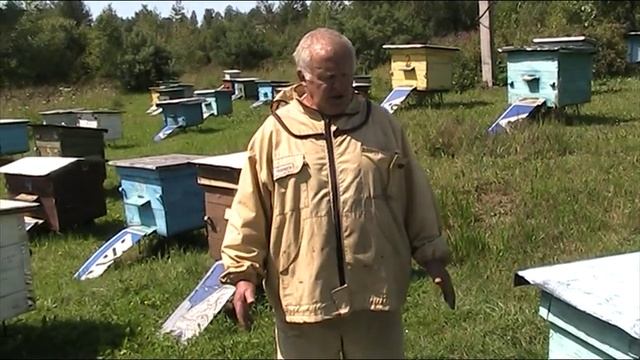 ЧТО БУДЕТ ЕСЛИ ОБЬЕДИНИТЬ СЕМЬЮ ТРУТОВКУ С НОРМАЛЬНОЙ ПЧЕЛОСЕМЬЁЙ смотреть онлайн