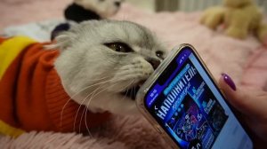 ЗЛОЙ РЕБЁНОК В ЖЁЛТОМ В РЕАЛЬНОЙ ЖИЗНИ ЛЯПОТА ТВ | ЗРЯ МЫ ВПУСТИЛИ ЕГО К НАМ ДОМОЙ