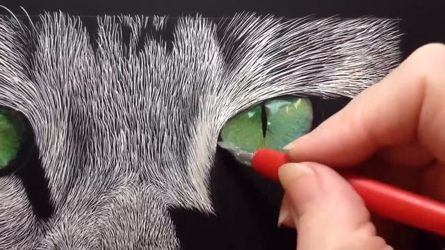 Incredible Tabby Cat Scratch Board Speed Drawing смотреть онлайн