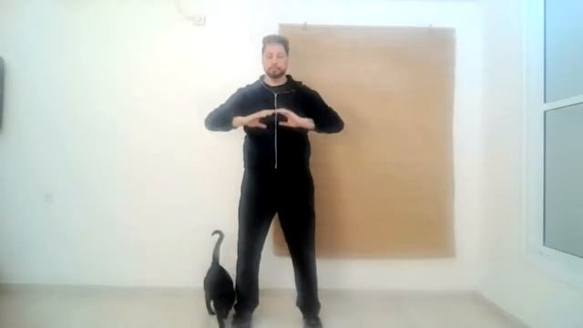 Цигун Чжан Чжуан - "Столбовое стояние". Занятие для начинающих смотреть онлайн