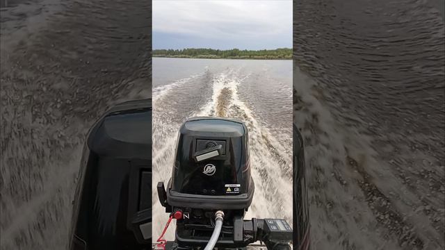 лодочный мотор Меркури 9.9 лайт.#shorts смотреть онлайн