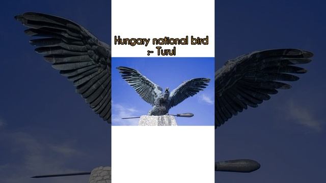Hungary National Anthem। Hungary Vs Portugal।Hungary Country #shorts #Budapest смотреть онлайн