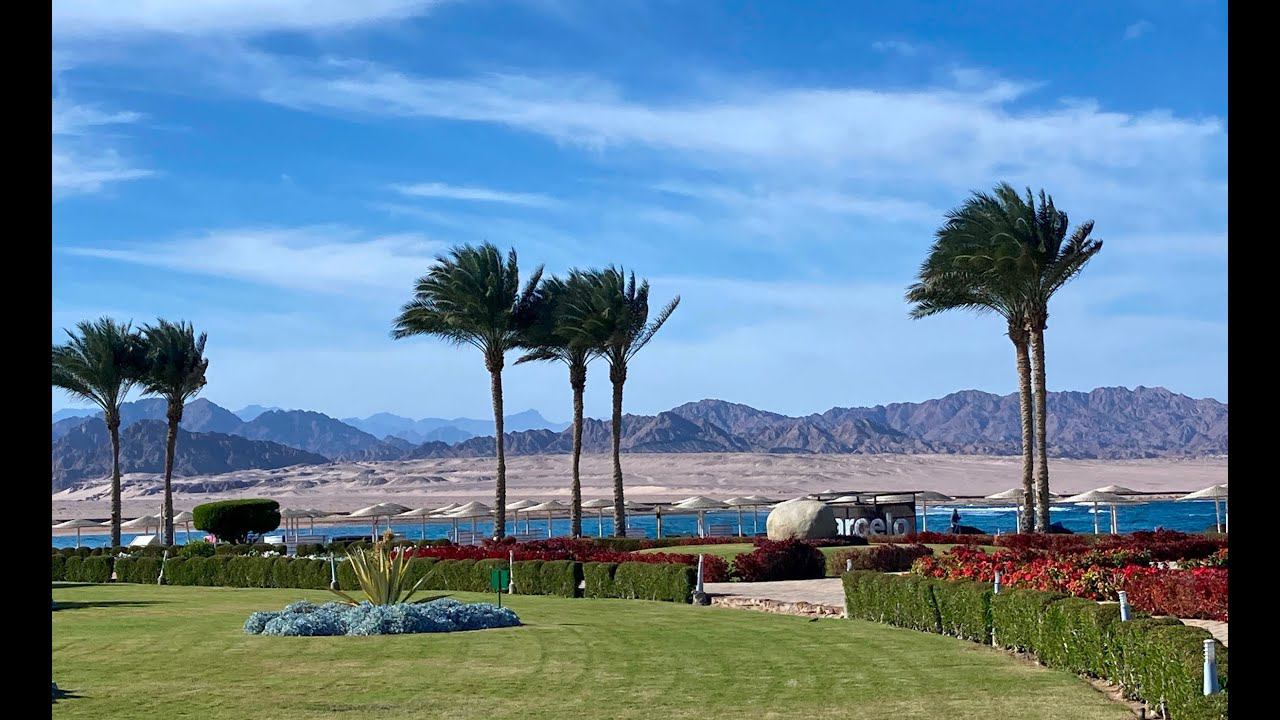 Barcelo Tiran Sharm 5* смотреть онлайн